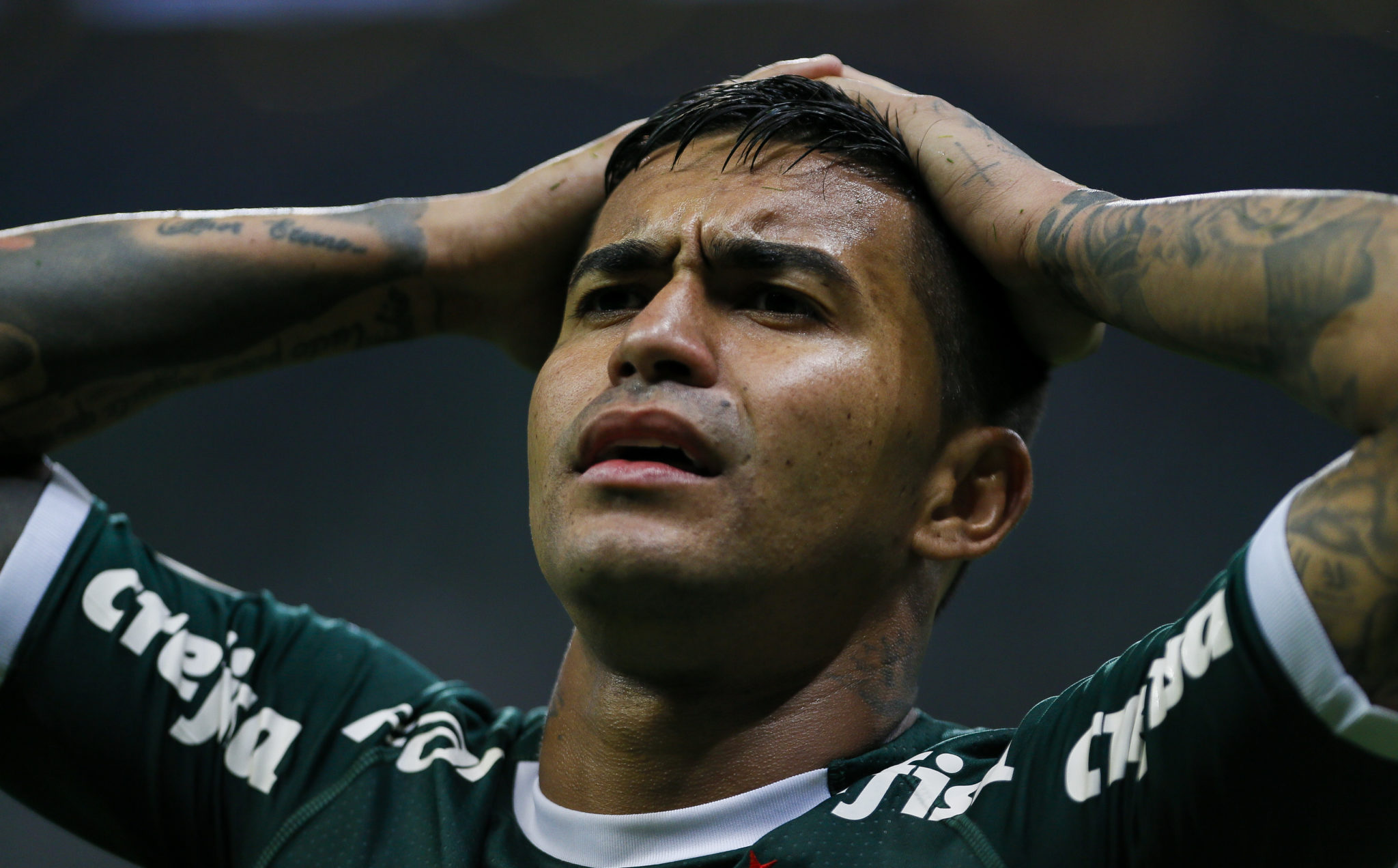 SAO PAULO, BRAZIL - OCTOBER 16: Dudu of Palmeiras reacts during a match between Palmeiras and Chapecoense for the Brasileirao Series A 2019 at Allianz Parque on October 16, 2019 in Sao Paulo, Brazil. (Photo by Miguel Schincariol/Getty Images)