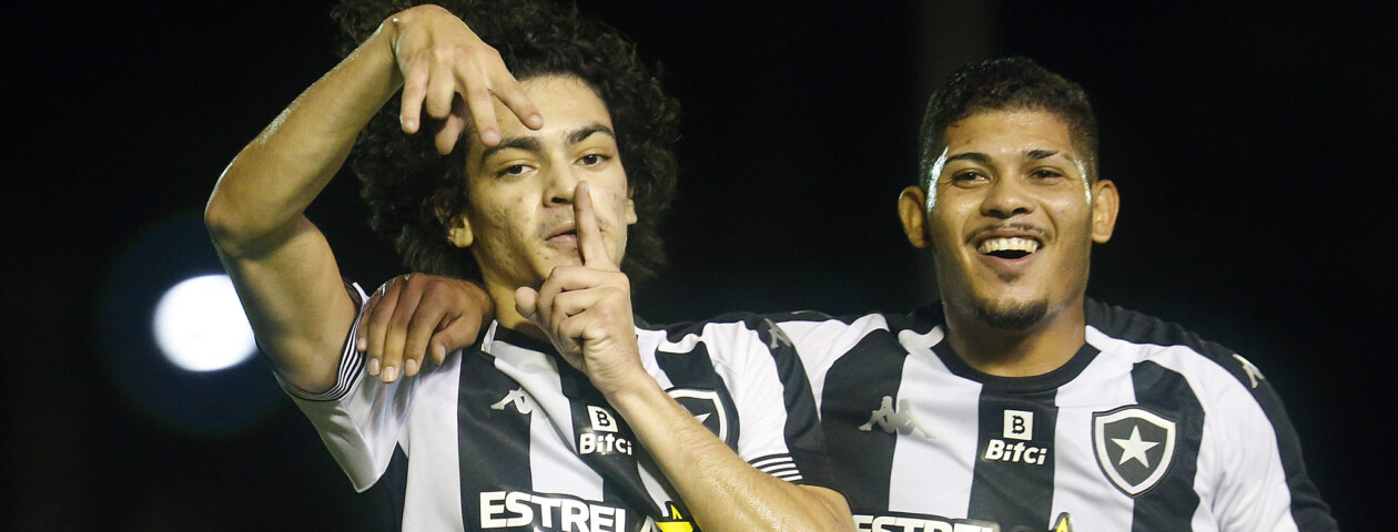 Com 15 gols marcados ao longo da temporada, Matheus Nascimento e Erison são responsáveis por marcar 42,85% dos gols do Botafogo no ano.