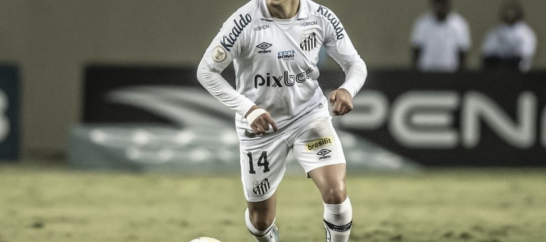 Rodrigo Fernández detém marcas expressivas nos 16 jogos em que esteve na titularidade do Santos no Campeonato Brasileiro. Acompanhe as façanhas